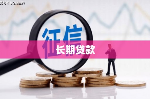 鸟松长期贷款