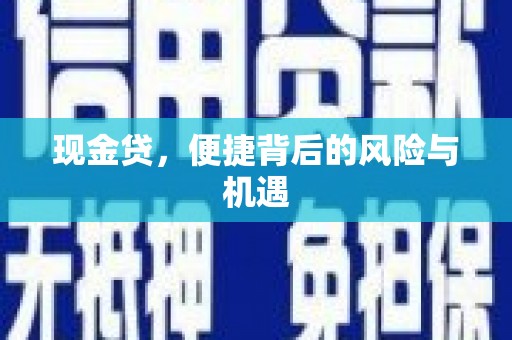 鸟松现金贷，便捷背后的风险与机遇