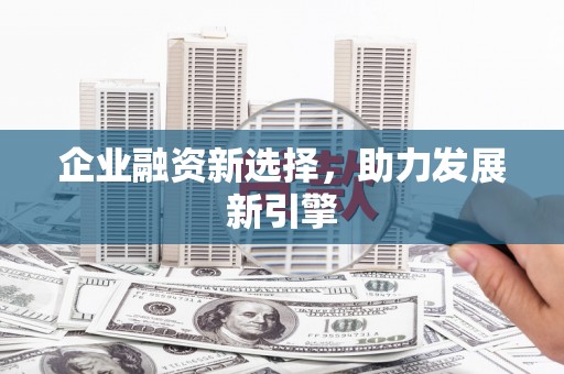 鸟松企业融资新选择，助力发展新引擎