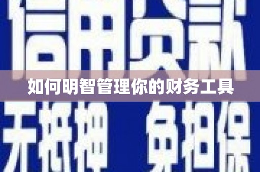 鸟松如何明智管理你的财务工具