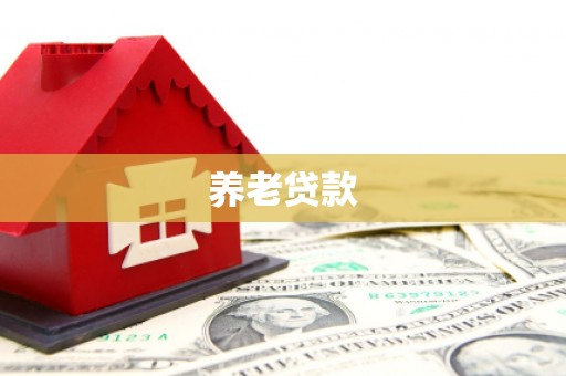 鸟松养老贷款