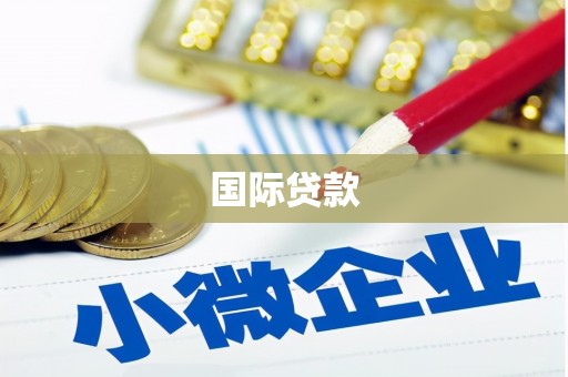 鸟松国际贷款
