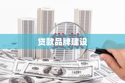 鸟松贷款品牌建设