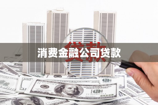 鸟松消费金融公司贷款