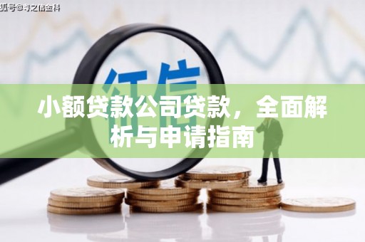 鸟松小额贷款公司贷款，全面解析与申请指南