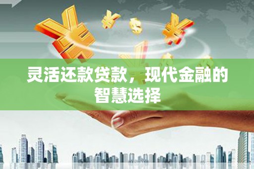鸟松灵活还款贷款，现代金融的智慧选择