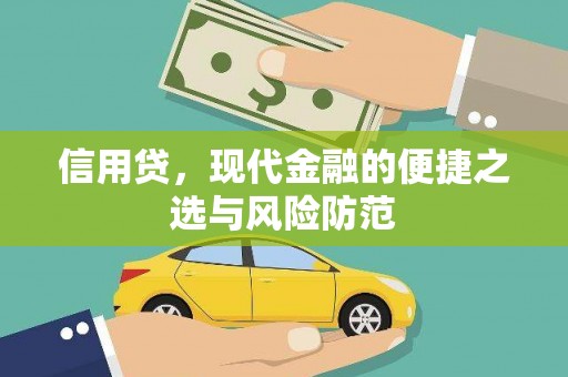 鸟松信用贷，现代金融的便捷之选与风险防范