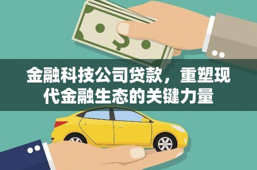 鸟松金融科技公司贷款，重塑现代金融生态的关键力量
