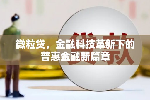 鸟松微粒贷，金融科技革新下的普惠金融新篇章