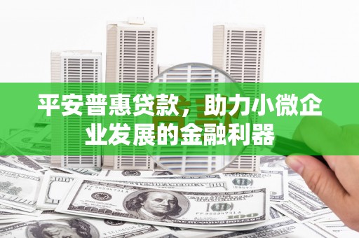 鸟松平安普惠贷款，助力小微企业发展的金融利器