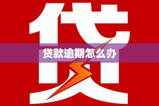 鸟松贷款逾期怎么办