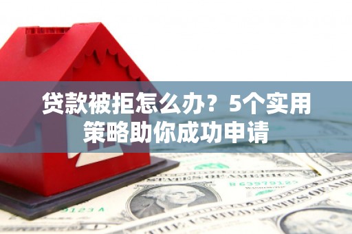 鸟松贷款被拒怎么办？5个实用策略助你成功申请
