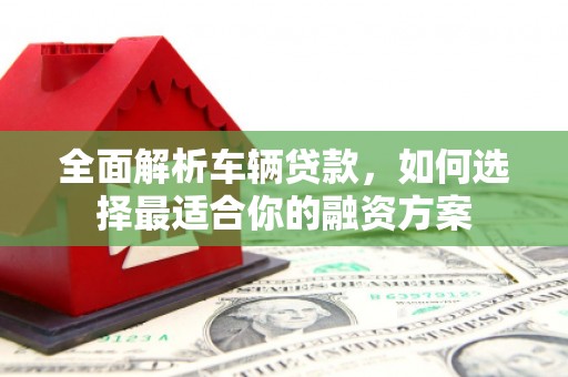 鸟松全面解析车辆贷款，如何选择最适合你的融资方案