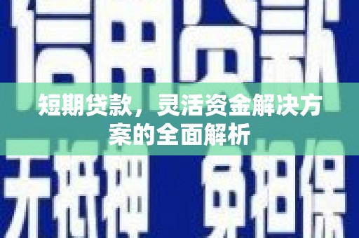 鸟松短期贷款，灵活资金解决方案的全面解析