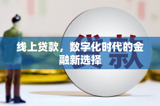 鸟松线上贷款，数字化时代的金融新选择