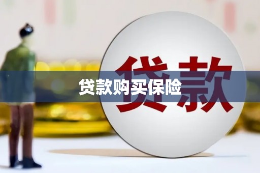 鸟松贷款购买保险