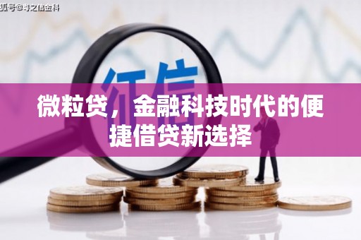 鸟松微粒贷，金融科技时代的便捷借贷新选择
