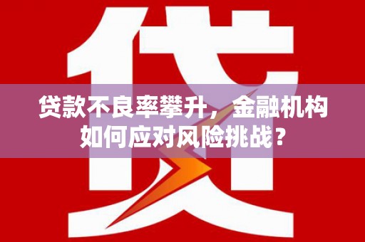 鸟松贷款不良率攀升，金融机构如何应对风险挑战？