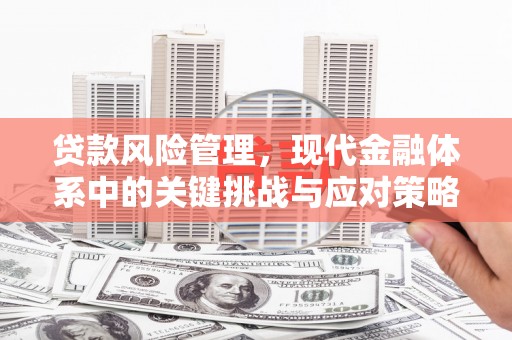 鸟松贷款风险管理，现代金融体系中的关键挑战与应对策略