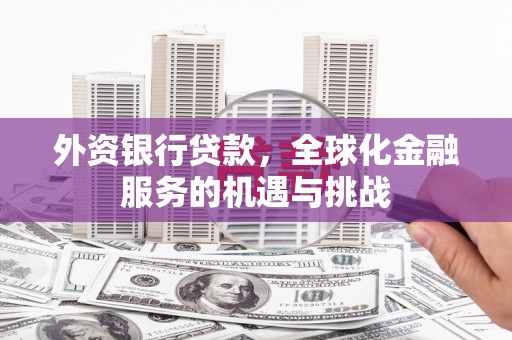 鸟松外资银行贷款，全球化金融服务的机遇与挑战