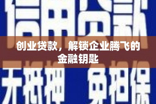 鸟松创业贷款，解锁企业腾飞的金融钥匙
