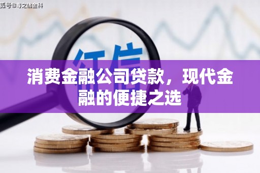 鸟松消费金融公司贷款，现代金融的便捷之选