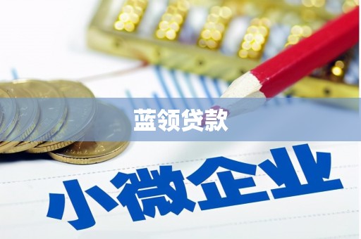 鸟松蓝领贷款