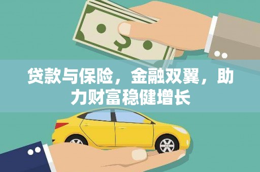 鸟松贷款与保险，金融双翼，助力财富稳健增长