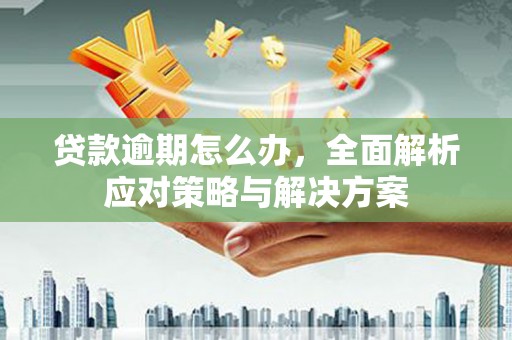 鸟松贷款逾期怎么办，全面解析应对策略与解决方案