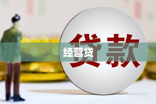 鸟松经营贷